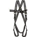 Index_fa_10_110_00_fire_free_two_point_harness